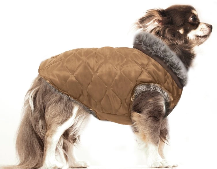 5808-3_mp2191-gaspard-dog-2